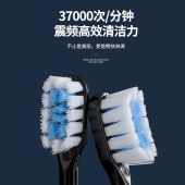 Enlliean鹰伦美洁超声波电动牙刷黑色SKT-Y8810