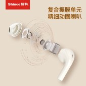 新科真无线蓝牙耳机GT19