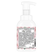 力士抑菌泡泡洗手液沁润蕊粉樱花香225ML