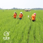 米妹妹福禄稻五常大米礼盒2.5kg