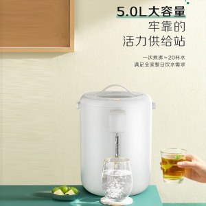 美的（Midea）电热水瓶P13P