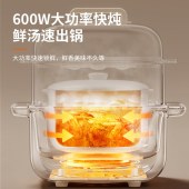 九阳蒸炖锅GD166