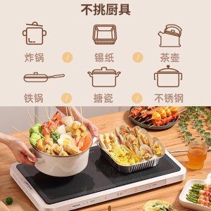 松下（Panasonic） 新品聚嗨盘多用途锅M1电烤盘多功能料理锅网红锅X1煎烤锅可定时烤肉锅 NF-M1-N 香槟金