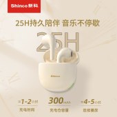 新科真无线蓝牙耳机GT19