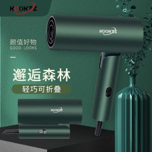 KOOKZZ 德国 酷客者D01便携吹风机电吹风家用宿舍大功率大风力吹风筒速干可折叠 1600W速干