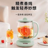 九阳养生壶K15D-WY6130