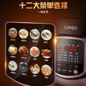 苏泊尔6L电炖锅DG60YC13