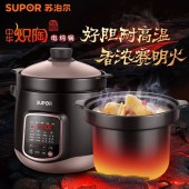 苏泊尔6L电炖锅DG60YC13