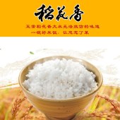 粮佰年五常 有机稻花香2号大米5kg （真空米砖袋）