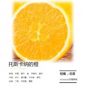 殊曼香氛 香薰扩香木礼盒 磁吸木星 -托斯卡纳橙香型10ml
