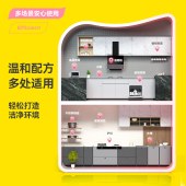 彩虹卫士多功能油污净（双瓶装）除菌率99.9%,元气白桃味R6705-2