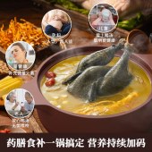 德博莱富硒紫砂煲DBL–ZSB008