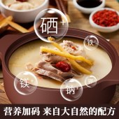 德博莱富硒紫砂煲DBL–ZSB008