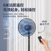 钻石落地扇8叶风扇CY35-R3 遥控款