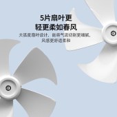 新飞台地两用 落地扇 FD-16