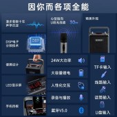 漫步者PP205无线版手提便携式蓝牙音箱户外音响K歌音箱扩音器