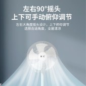 新飞台地两用 落地扇 FD-16