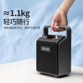 漫步者PP205无线版手提便携式蓝牙音箱户外音响K歌音箱扩音器