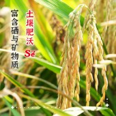 陇间柒月 柒月富硒大米5kg