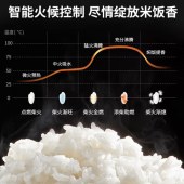 九阳4L低糖电饭煲F-40FY33