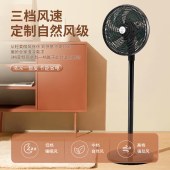 钻石落地扇12寸风扇FS-30C
