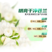 高富力活性酵素浓缩洗衣香凝珠8g/颗*50颗/盒