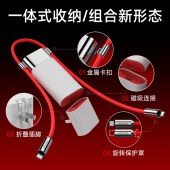 闪极-Pouch 3合1移动电源10000mAhP065A