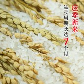 陇间柒月八月富硒大米5kg