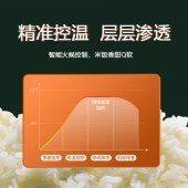 创维4L智能电饭煲F625