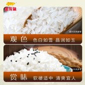 金龙鱼御品软香米5kg