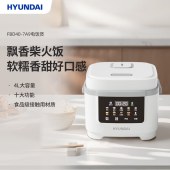 HYUNDAI智能电饭煲FBD40-7A9