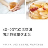 小熊1.5L养生壶YSH-J15T9