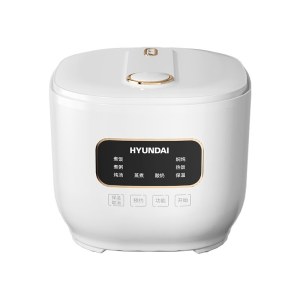 HYUNDAI智能电饭煲FBD30-5A8