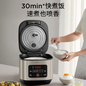 九阳电饭煲F30FY-F585