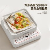 HYUNDAI多功能电蒸锅XX-DZG08