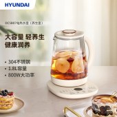 HYUNDAI电热水壶（养生壶）DC5B07