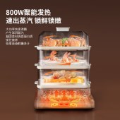 HYUNDAI多功能电蒸锅XX-DZG08