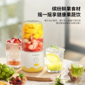 HYUNDAI果汁机HY-008