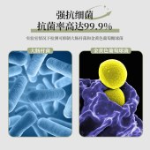 小熊密封防潮防尘防虫米桶5KG CX-W0062