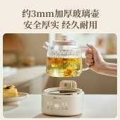 小熊养生壶24h预约24h保温 1L YSH-P10Q7