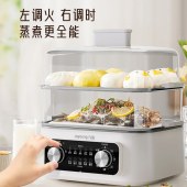 九阳电蒸锅DZ150HG-GZ616