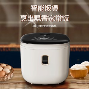 创维电饭煲F625