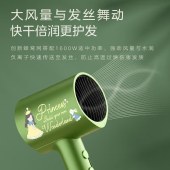 美的吹风机MB-AJ0502