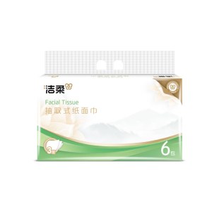 洁柔牌纸面巾(软抽)3层100抽(6包装)JR281-06A