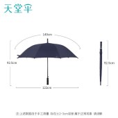 天堂超大伞面雨伞直柄伞商务伞10705 岩石蓝