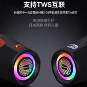 纽曼 户外手提蓝牙音响BT100