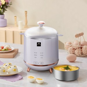WORLD KITCHEN 康宁多功能煮蛋器 WK-GZD0701/KZ
