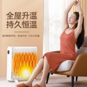 先锋热浪语音智能油汀DYT-YY1R（DQ2337R）