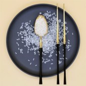 龙稻 京享稻花香2号5KG