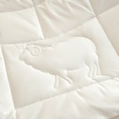 金丝莉200*230cm全棉蚕丝澳毛子母被JB-1521